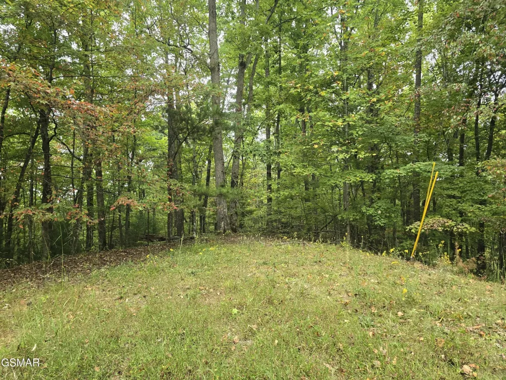 0 Deer Ridge Lane Sevierville, TN 37876