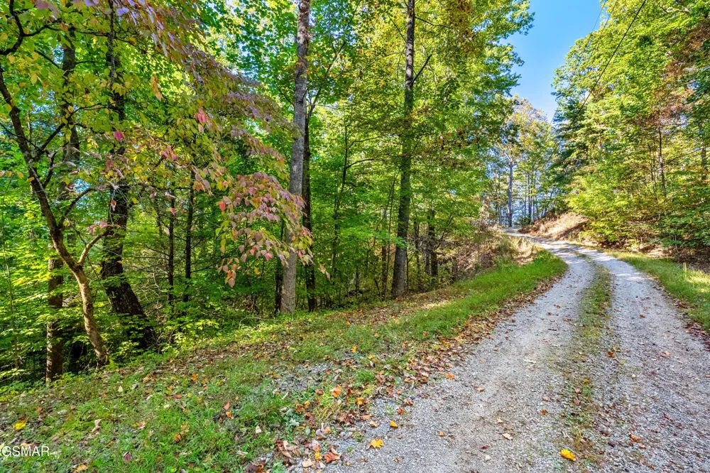 0 Deer Ridge Lane Sevierville, TN 37876