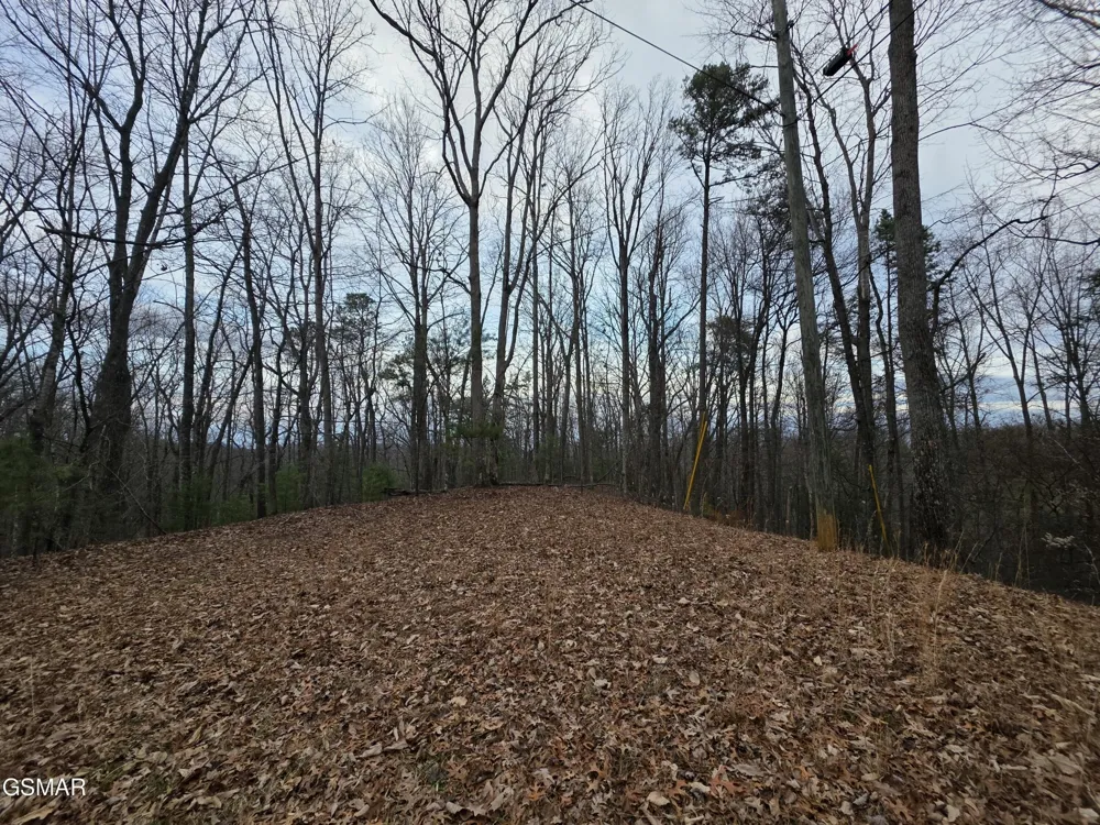 0 Deer Ridge Lane Sevierville, TN 37876