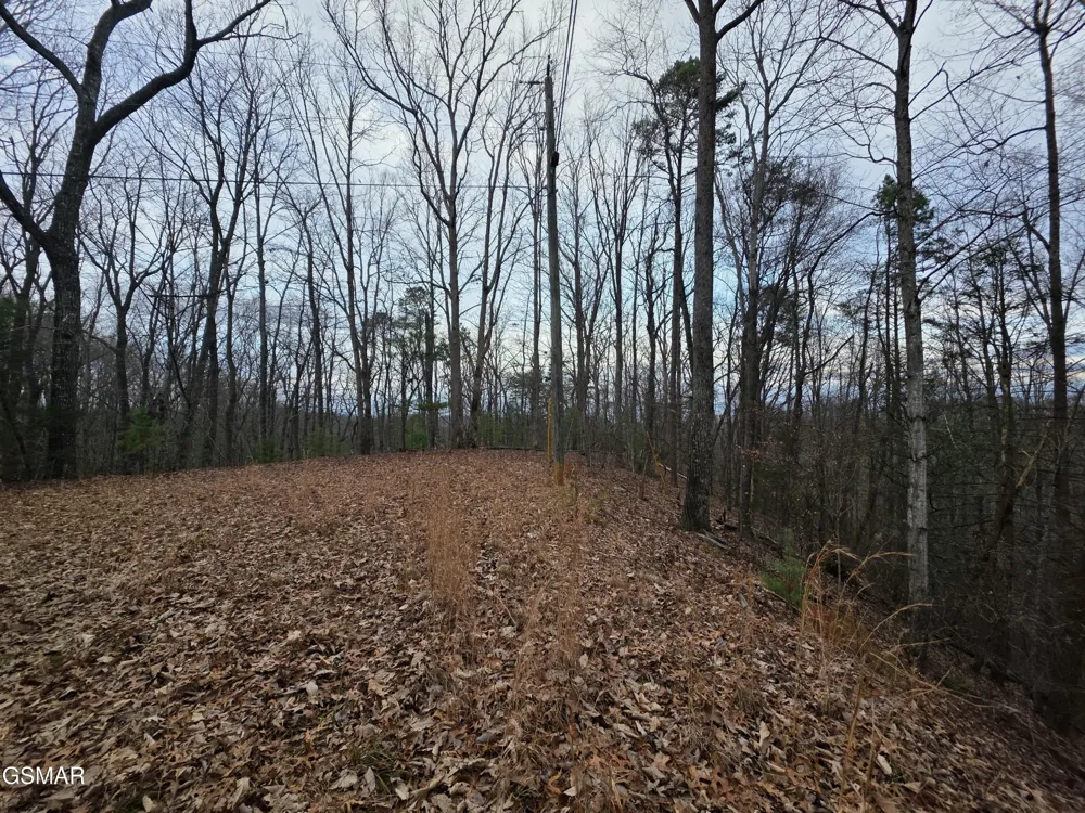 0 Deer Ridge Lane Sevierville, TN 37876