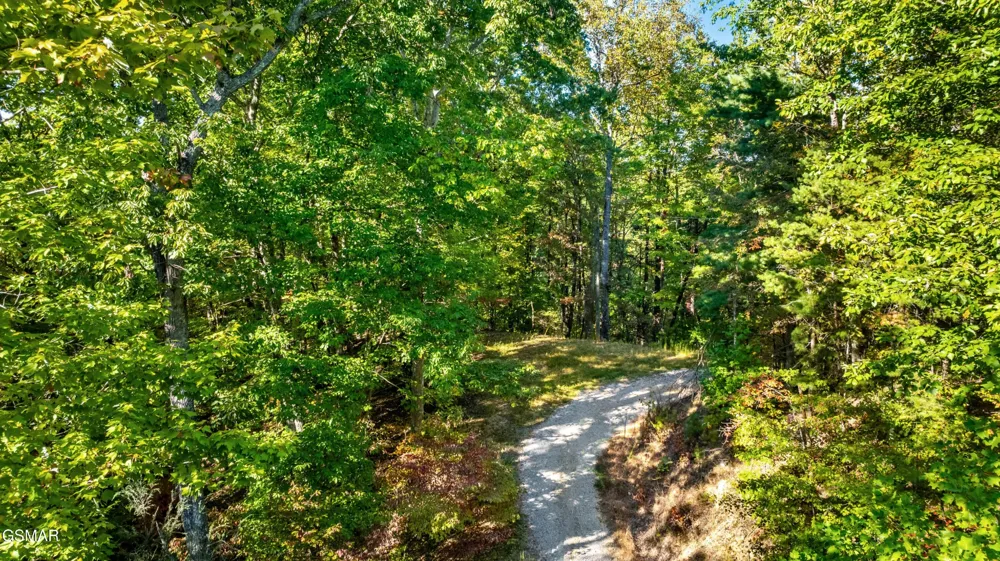 0 Deer Ridge Lane Sevierville, TN 37876