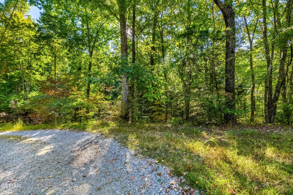 0 Deer Ridge Lane Sevierville, TN 37876