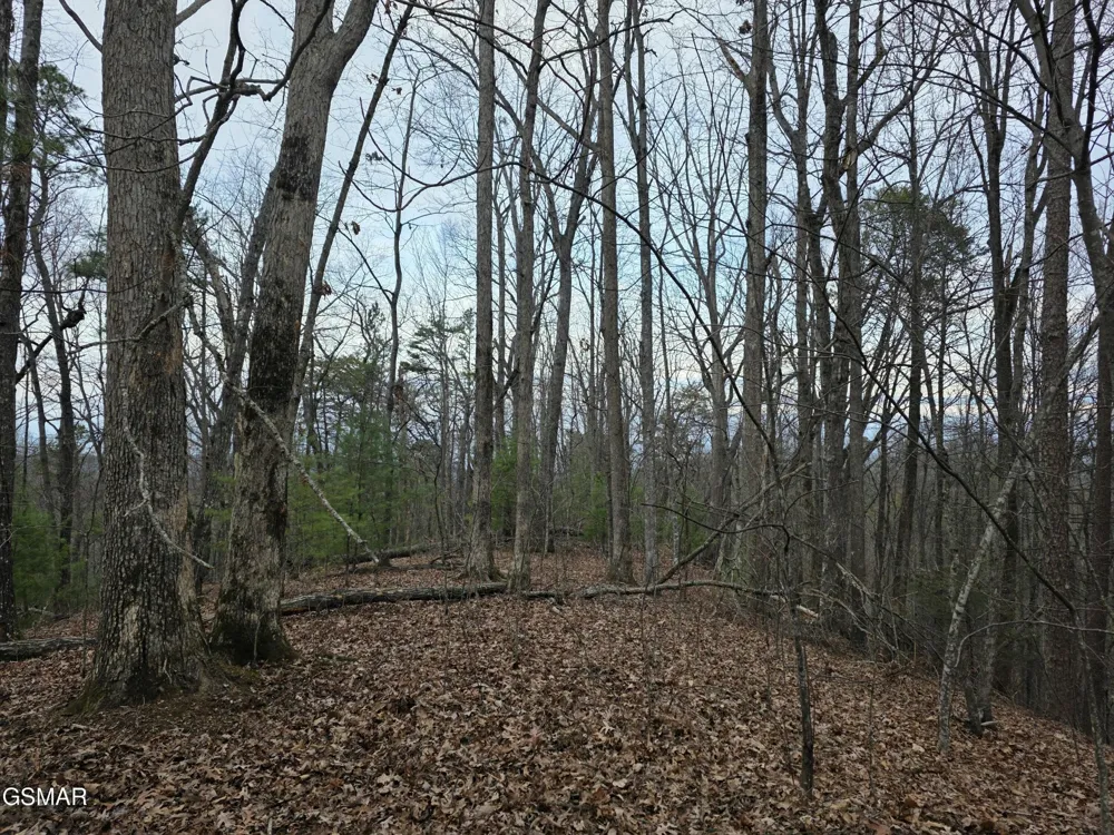 0 Deer Ridge Lane Sevierville, TN 37876