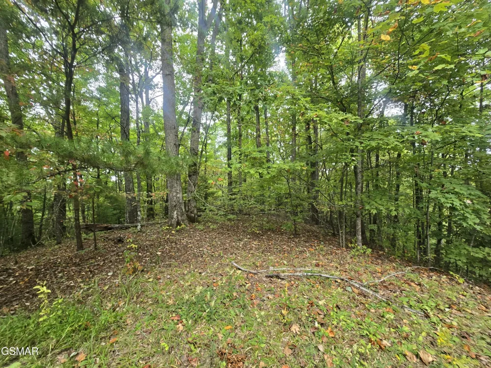 0 Deer Ridge Lane Sevierville, TN 37876