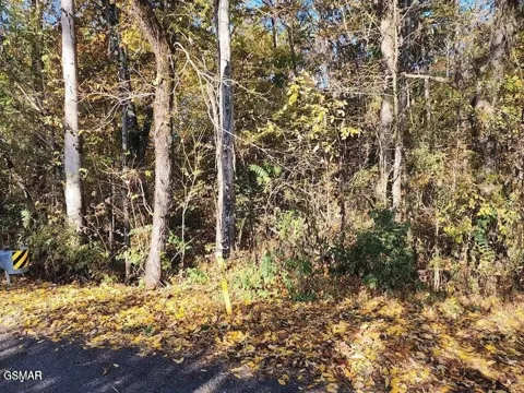 0 Briggs Road
