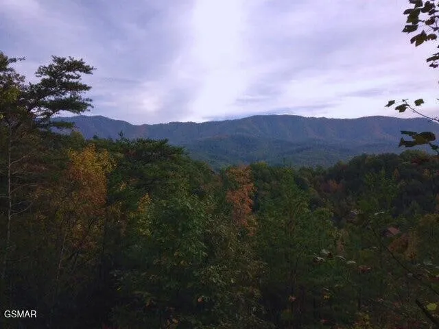 64 Vixen Run Gatlinburg, TN 37738