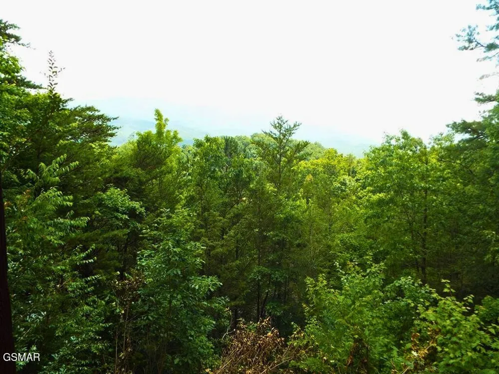 64 Vixen Run Gatlinburg, TN 37738