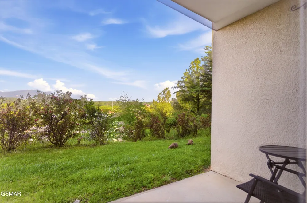 124 Plaza Drive #1104 Pigeon Forge, TN 37863