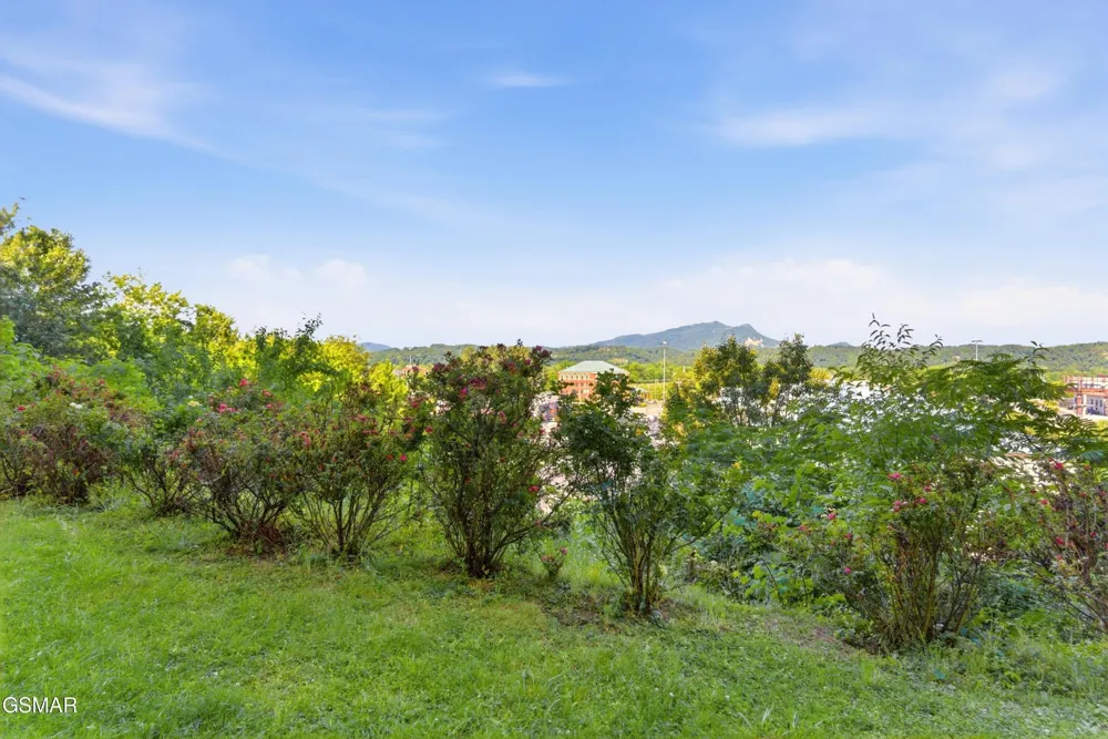124 Plaza Drive #1104 Pigeon Forge, TN 37863
