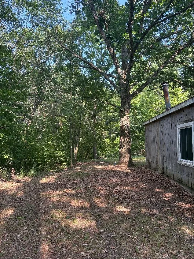 14420 Roosevelt Road Martiny Township, MI 49332