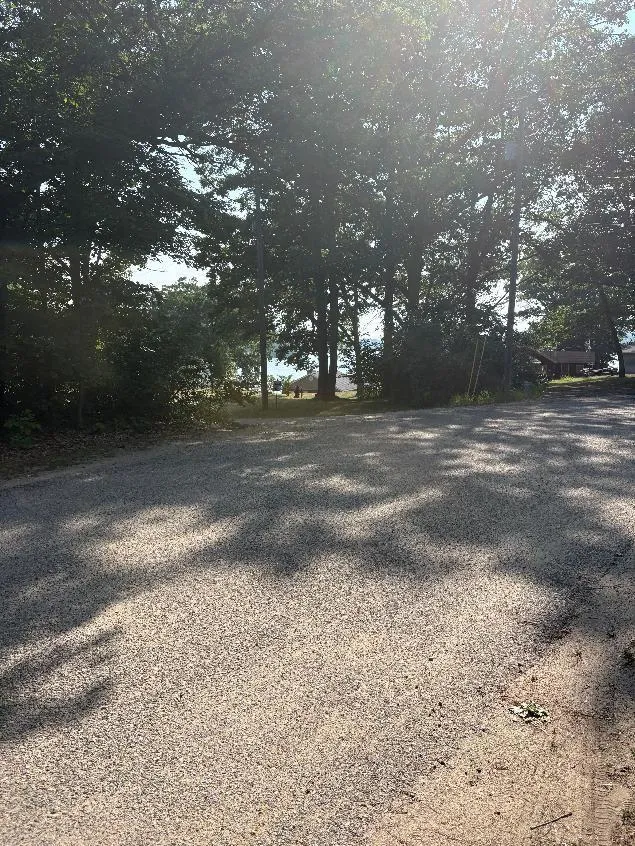 14420 Roosevelt Road Martiny Township, MI 49332