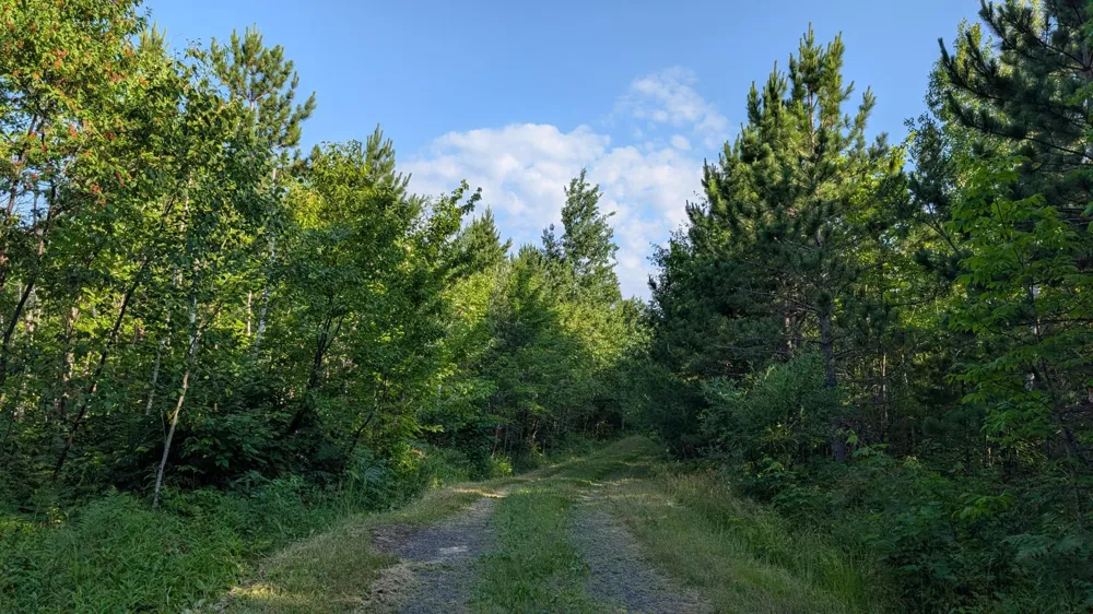 Lot B Hwy. 24 Orr, MN 55771