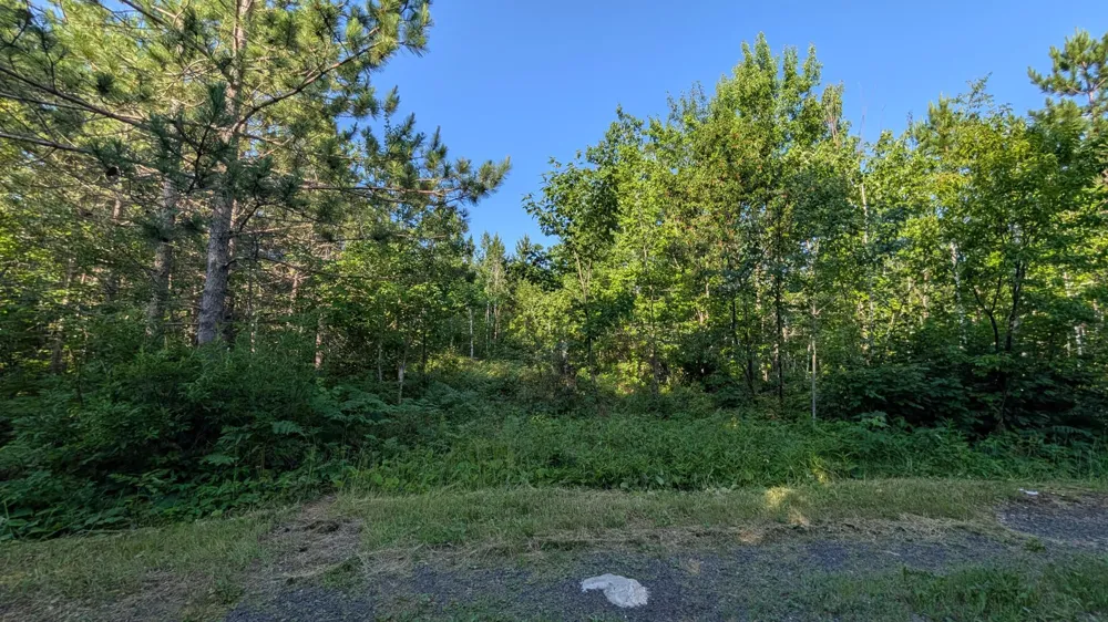 Lot B Hwy. 24 Orr, MN 55771