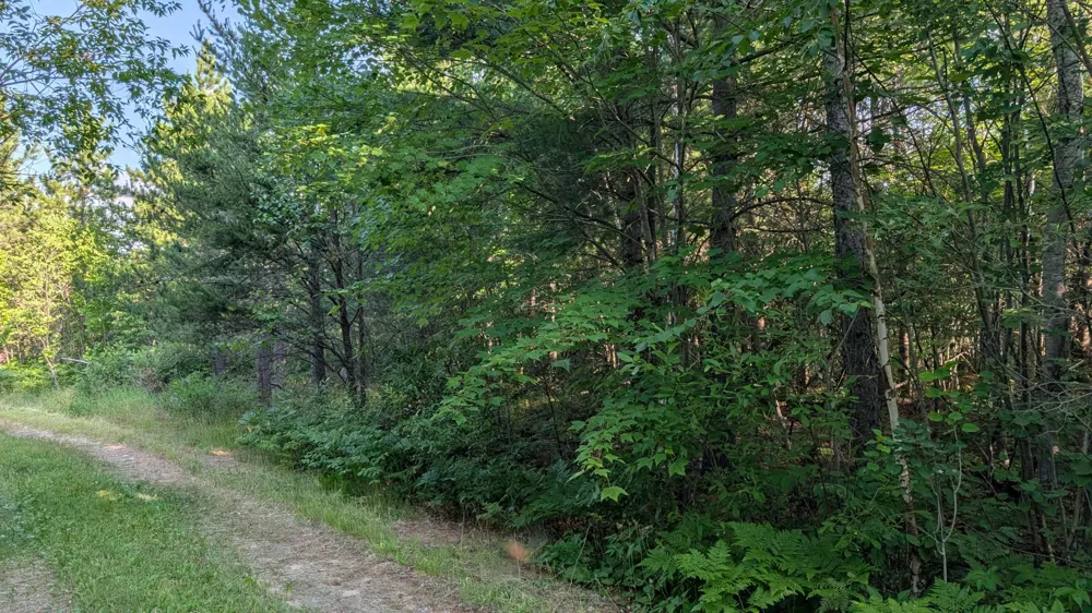 Lot B Hwy. 24 Orr, MN 55771