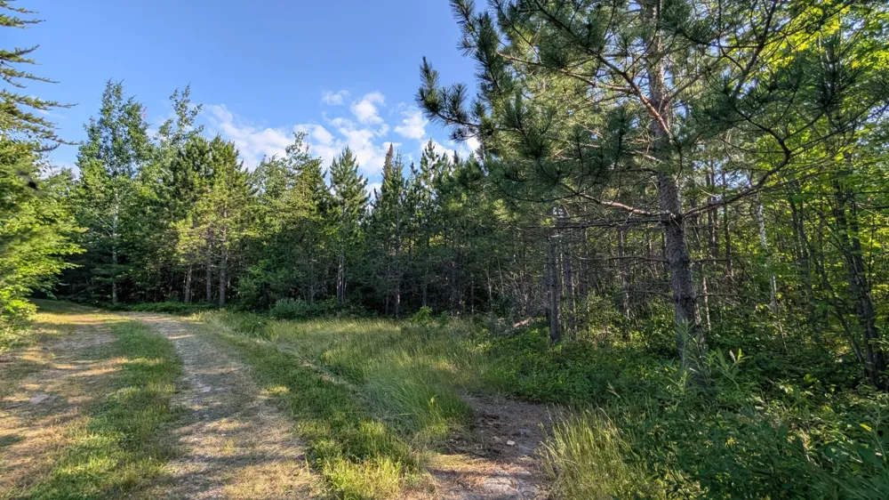 Lot B Hwy. 24 Orr, MN 55771