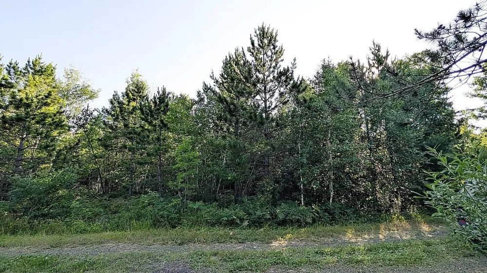 Lot B Hwy. 24 Orr, MN 55771
