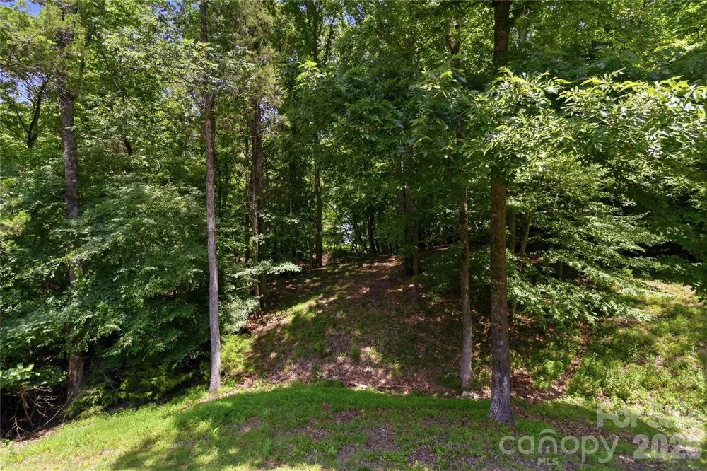 280 Catawba Crest Lane Lake Wylie, SC 29710