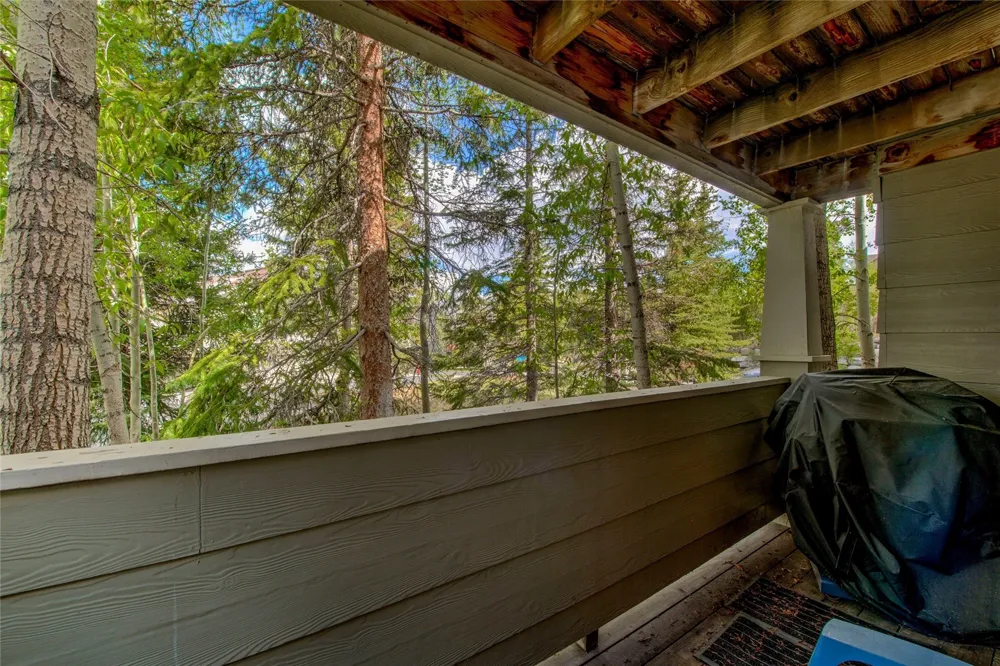 1509 Point Drive #103 Frisco, CO 80443