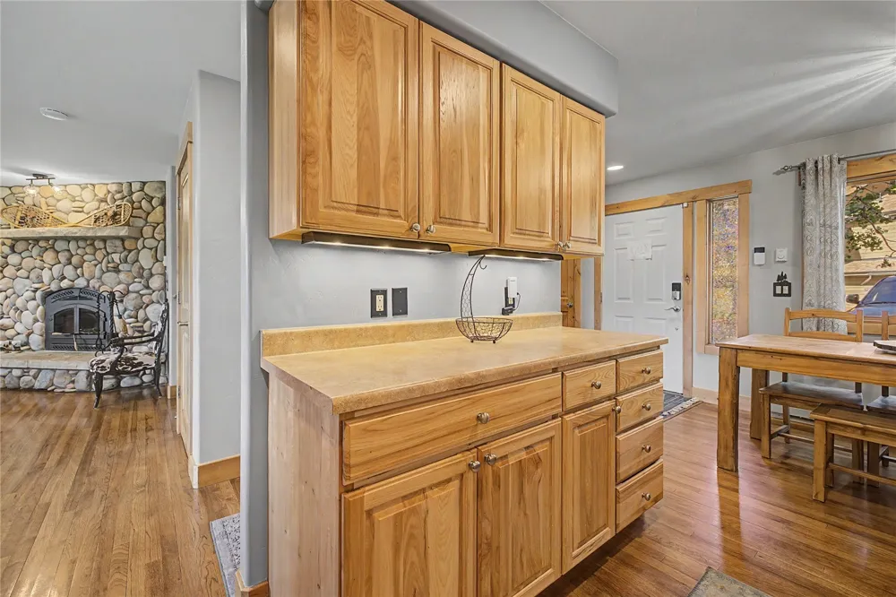 6726 Ryan Gulch Road #6726 Wildernest, CO 80498