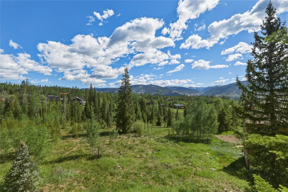 6726 Ryan Gulch Road #6726 Wildernest, CO 80498