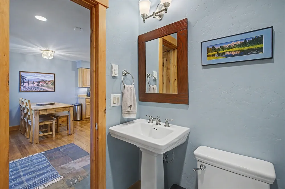 6726 Ryan Gulch Road #6726 Wildernest, CO 80498