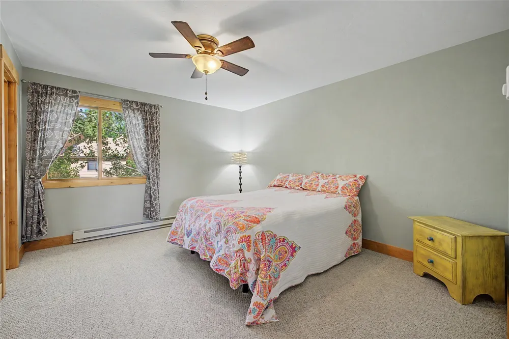 6726 Ryan Gulch Road #6726 Wildernest, CO 80498
