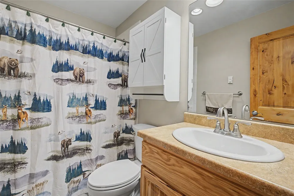 6726 Ryan Gulch Road #6726 Wildernest, CO 80498