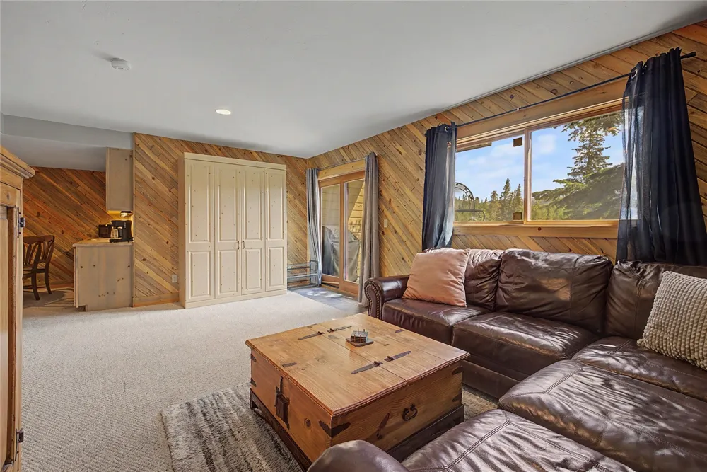 6726 Ryan Gulch Road #6726 Wildernest, CO 80498