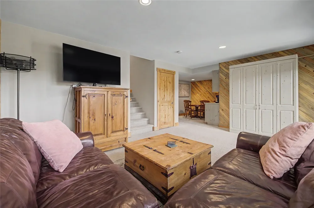 6726 Ryan Gulch Road #6726 Wildernest, CO 80498
