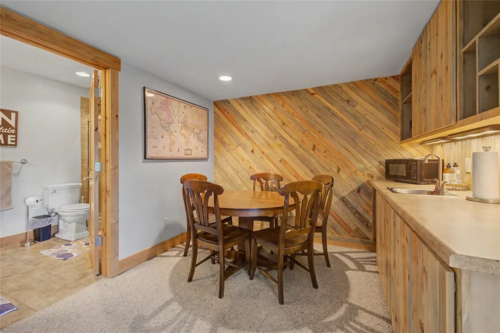 6726 Ryan Gulch Road #6726 Wildernest, CO 80498