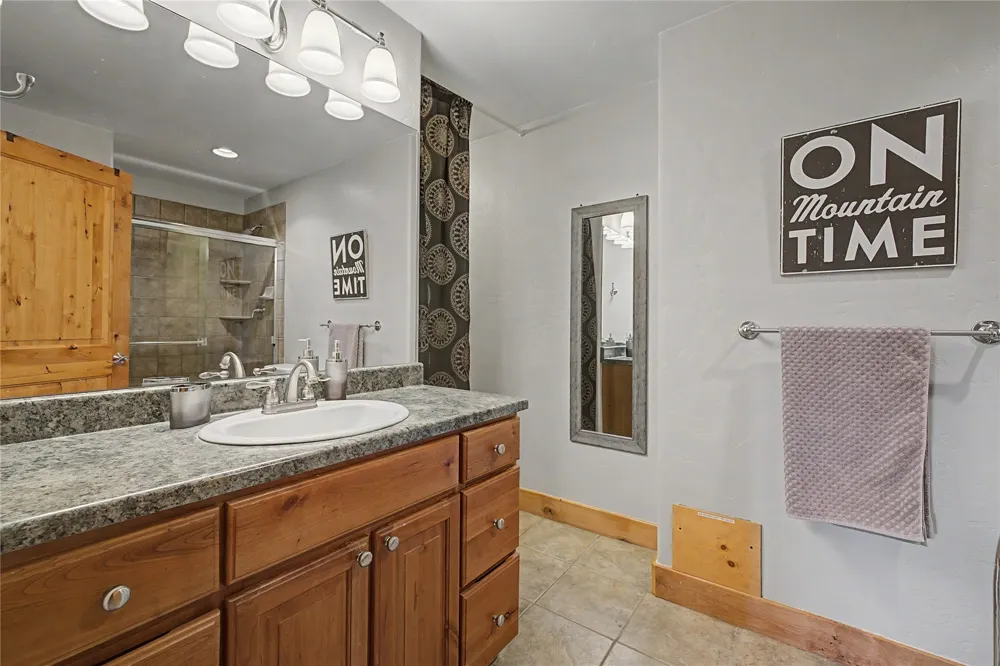 6726 Ryan Gulch Road #6726 Wildernest, CO 80498