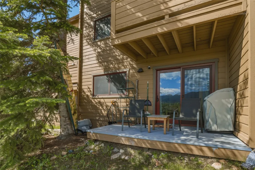 6726 Ryan Gulch Road #6726 Wildernest, CO 80498