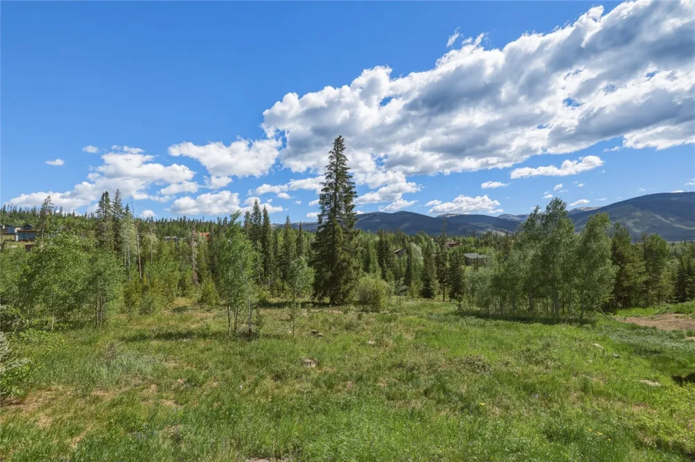 6726 Ryan Gulch Road #6726 Wildernest, CO 80498
