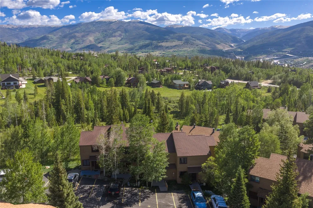 6726 Ryan Gulch Road #6726 Wildernest, CO 80498