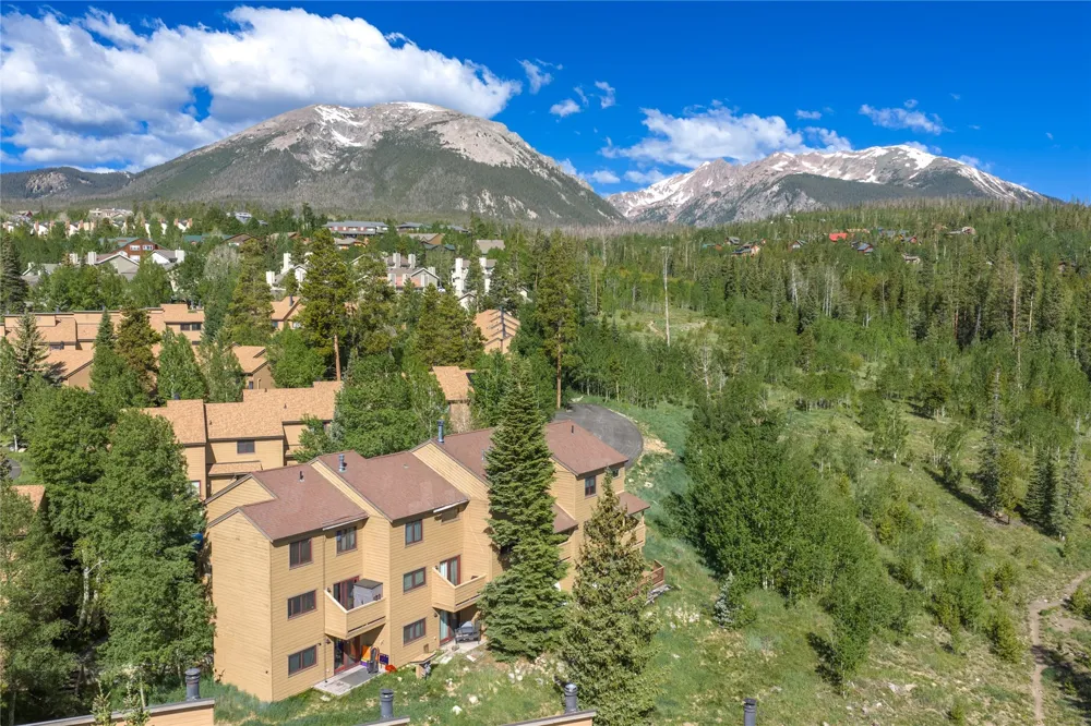 6726 Ryan Gulch Road #6726 Wildernest, CO 80498