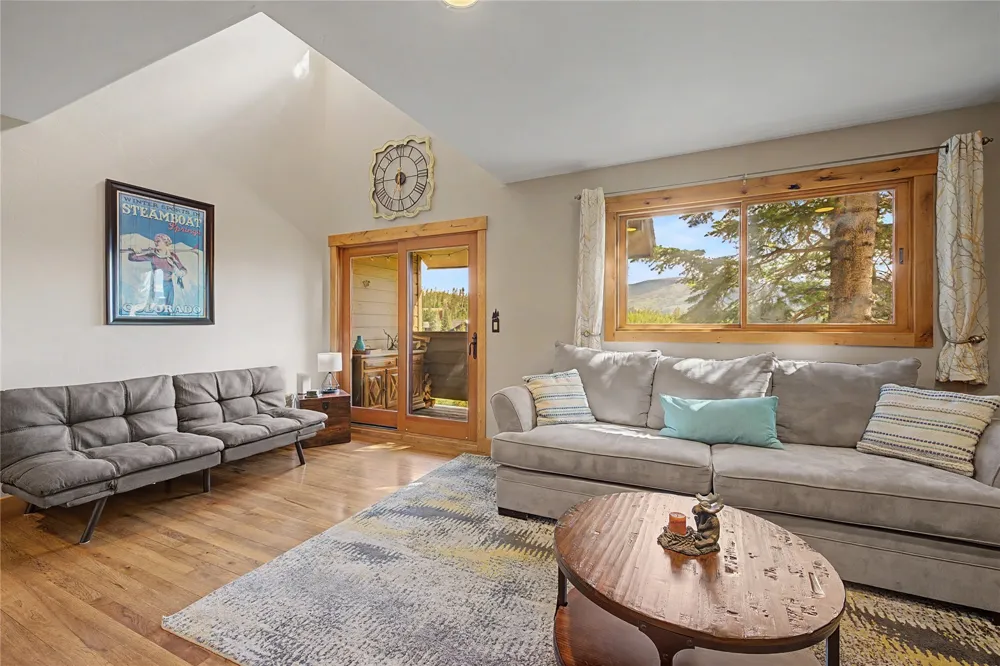 6726 Ryan Gulch Road #6726 Wildernest, CO 80498