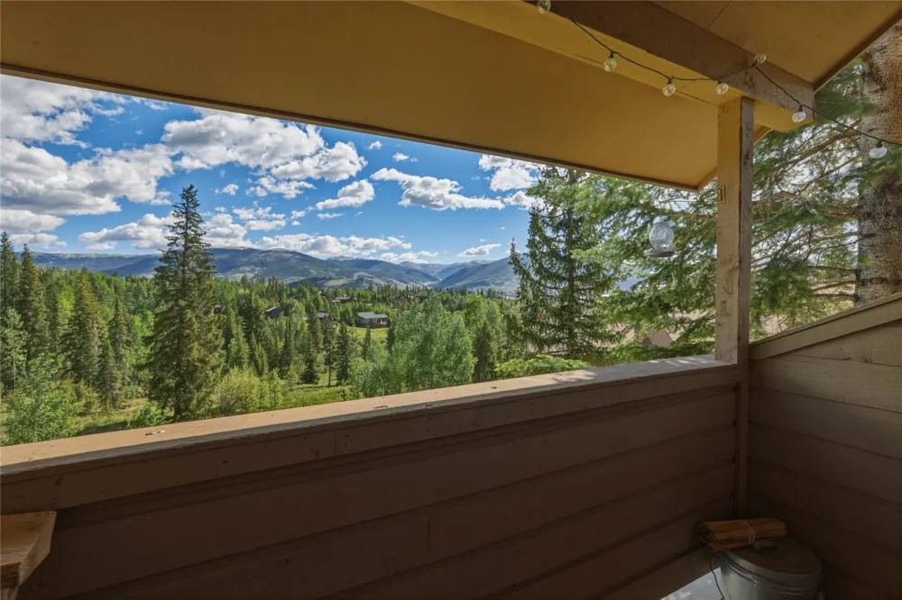 6726 Ryan Gulch Road #6726 Wildernest, CO 80498