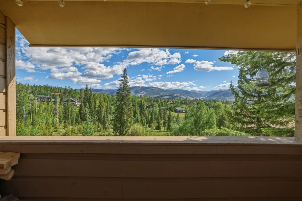 6726 Ryan Gulch Road #6726 Wildernest, CO 80498