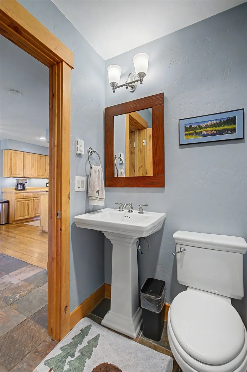 6726 Ryan Gulch Road #6726 Wildernest, CO 80498