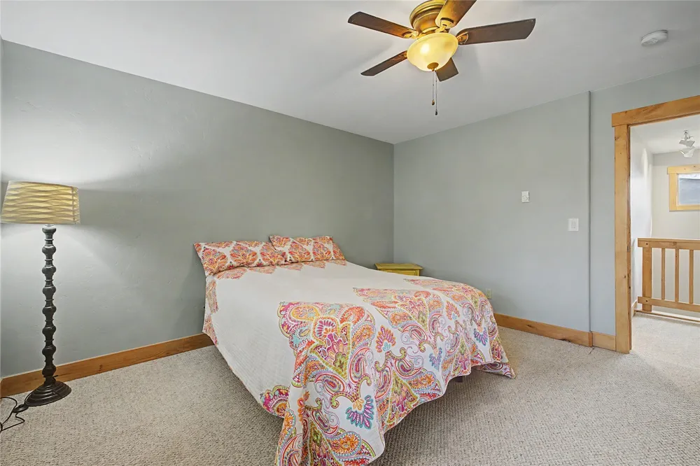 6726 Ryan Gulch Road #6726 Wildernest, CO 80498