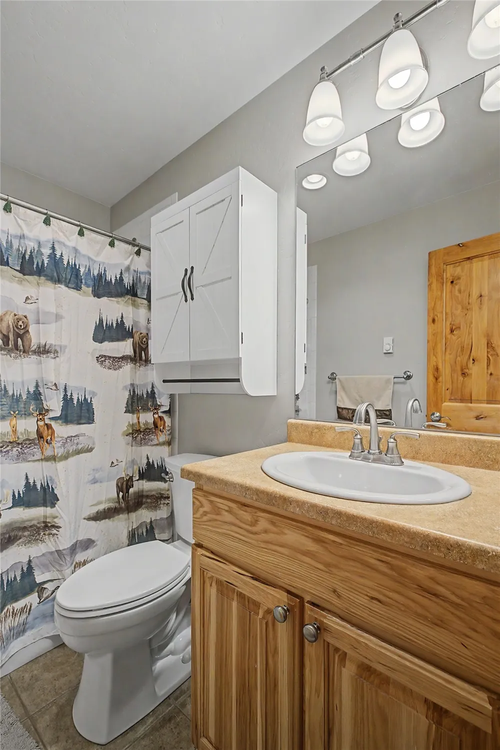 6726 Ryan Gulch Road #6726 Wildernest, CO 80498
