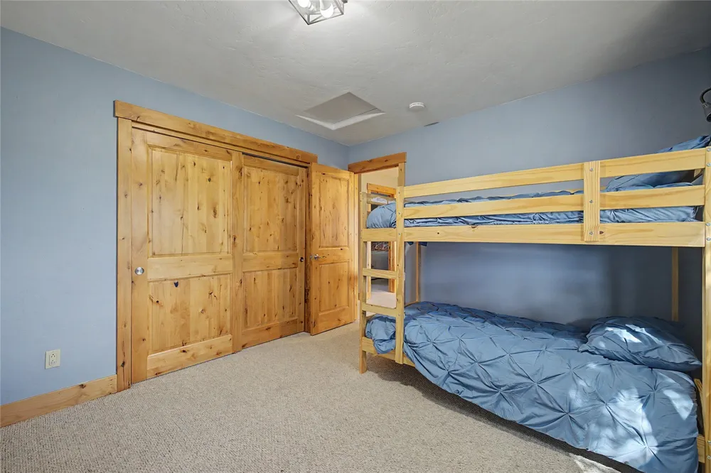 6726 Ryan Gulch Road #6726 Wildernest, CO 80498