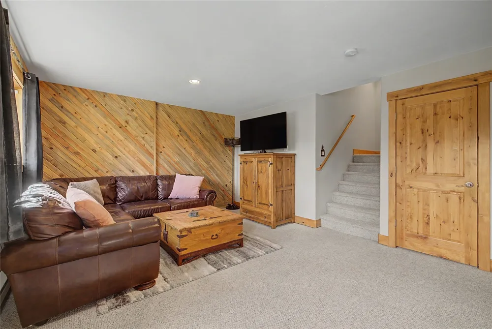 6726 Ryan Gulch Road #6726 Wildernest, CO 80498