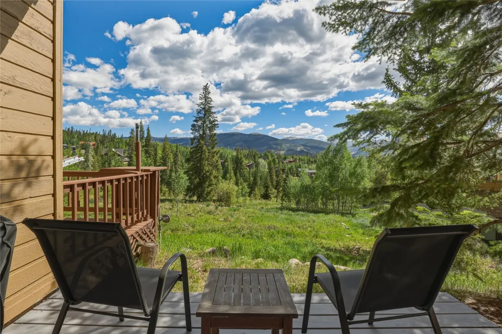 6726 Ryan Gulch Road #6726 Wildernest, CO 80498