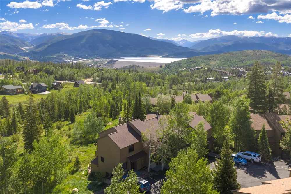 6726 Ryan Gulch Road #6726 Wildernest, CO 80498