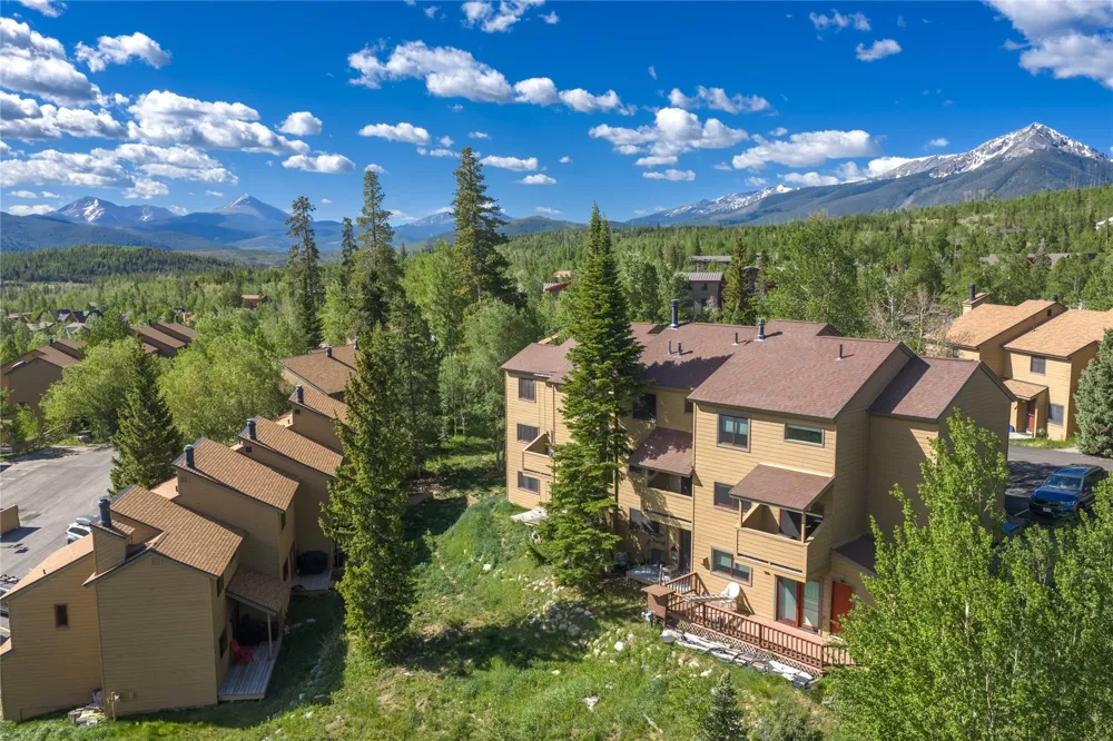 6726 Ryan Gulch Road #6726 Wildernest, CO 80498