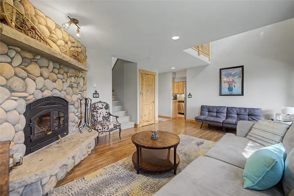 6726 Ryan Gulch Road #6726 Wildernest, CO 80498