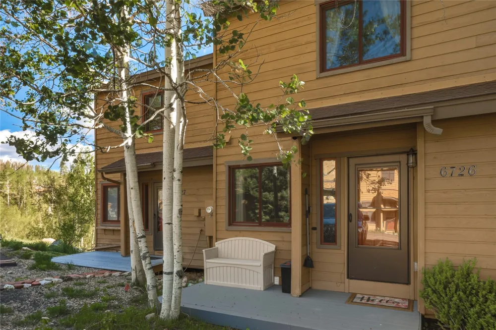 6726 Ryan Gulch Road #6726 Wildernest, CO 80498