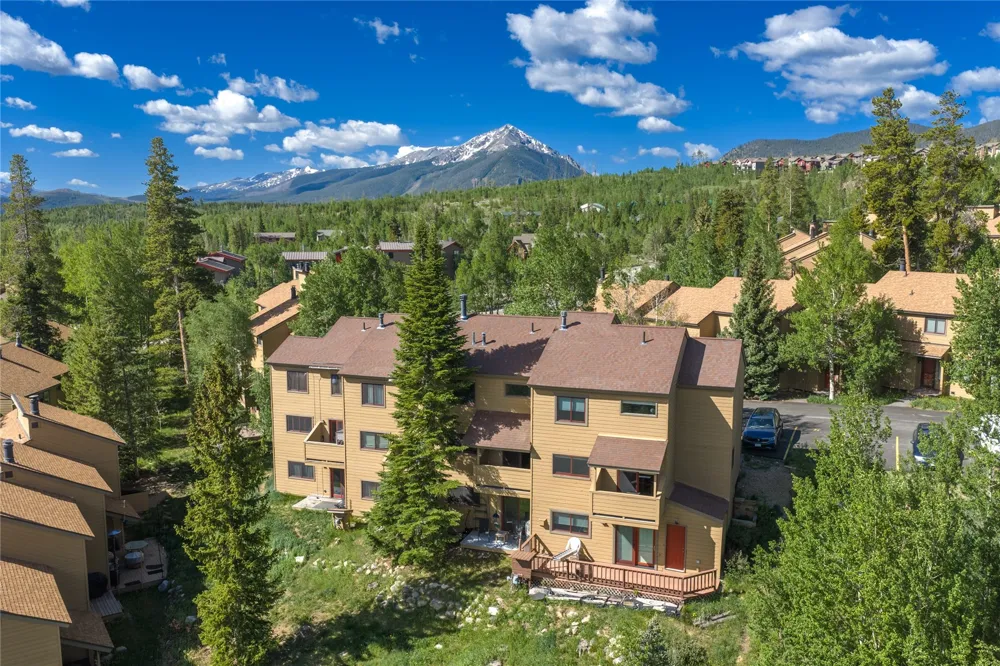 6726 Ryan Gulch Road #6726 Wildernest, CO 80498