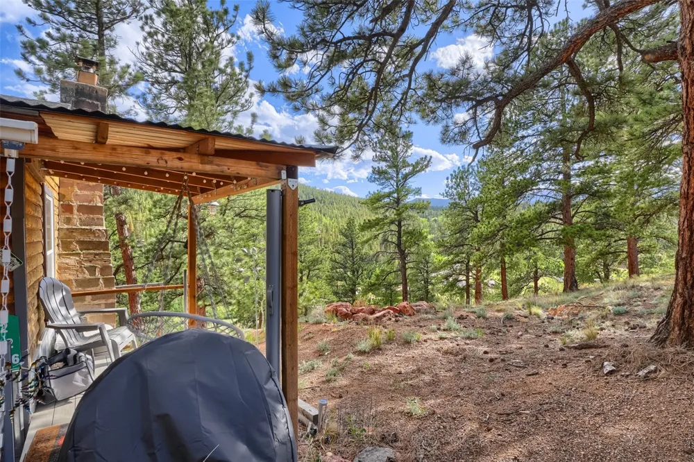 226 Hall Road Bailey, CO 80421